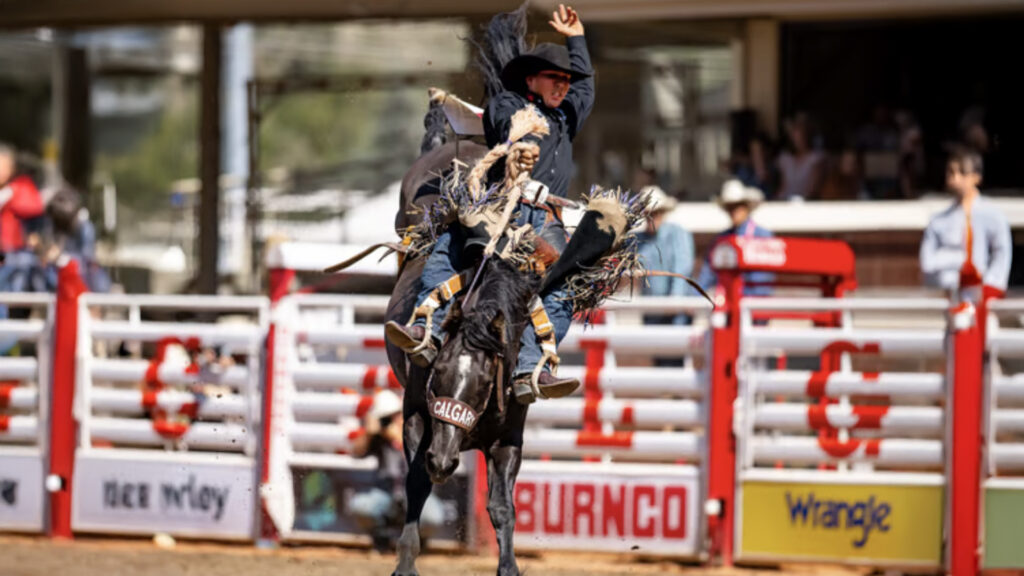Stampede1 1024x576