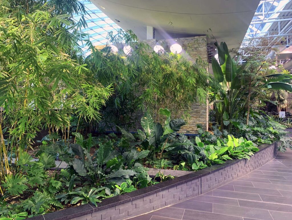 Screenshot 2026 01 09 at 12.27.34 AM 1024x772